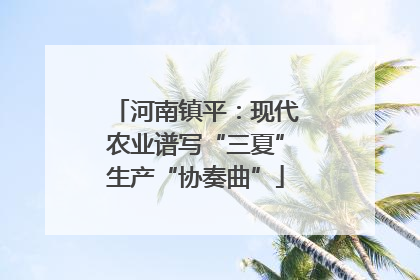 河南镇平：现代农业谱写“三夏”生产“协奏曲”