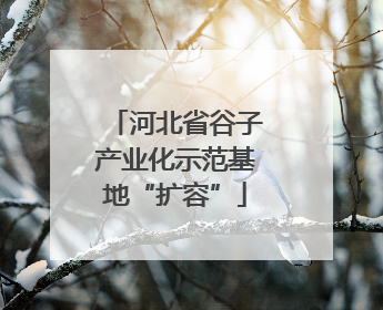 河北省谷子产业化示范基地“扩容”