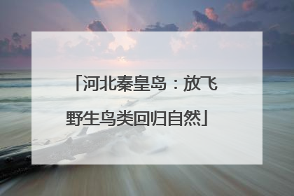 河北秦皇岛：放飞野生鸟类回归自然
