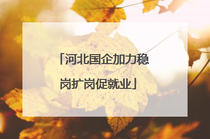 河北国企加力稳岗扩岗促就业