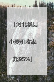 河北蠡县小麦机收率超95%