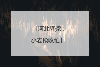 河北隆尧：小麦抢收忙