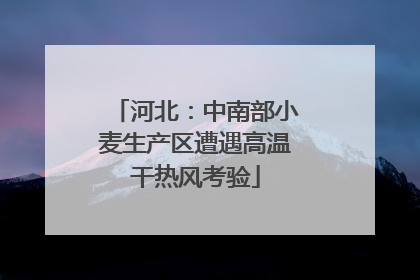 河北：中南部小麦生产区遭遇高温干热风考验