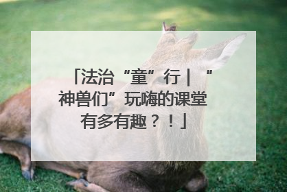 法治“童”行｜“神兽们”玩嗨的课堂有多有趣？！