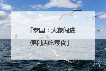 泰国：大象闯进便利店吃零食
