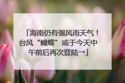 海南仍有强风雨天气！台风“蝴蝶”或于今天中午前后再次登陆→