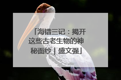 海错三记：揭开这些古老生物的神秘面纱｜盛文强