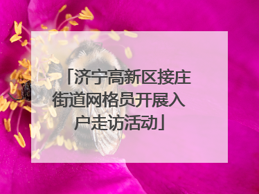 济宁高新区接庄街道网格员开展入户走访活动