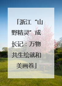 浙江“山野精灵”成长记：万物共生绘就和美画卷