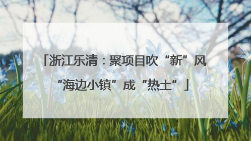 浙江乐清：聚项目吹“新”风 “海边小镇”成“热土”