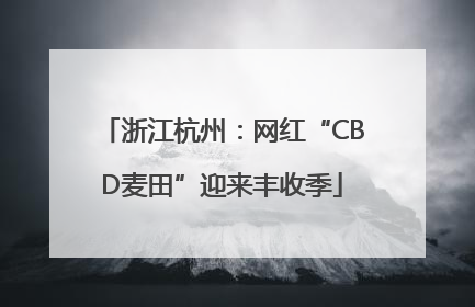 浙江杭州：网红“CBD麦田”迎来丰收季