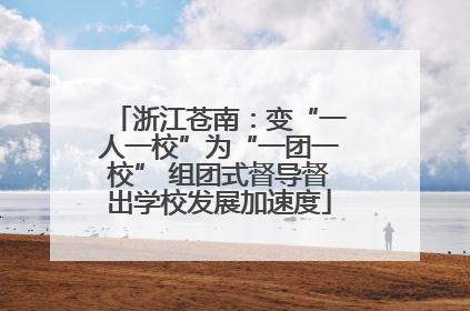 浙江苍南：变“一人一校”为“一团一校” 组团式督导督出学校发展加速度