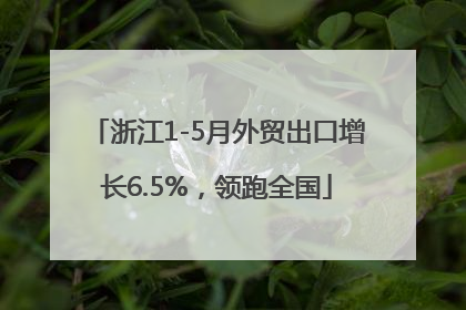 浙江1-5月外贸出口增长6.5%，领跑全国