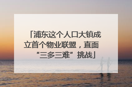 浦东这个人口大镇成立首个物业联盟，直面“三多三难”挑战