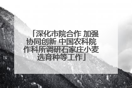 深化市院合作 加强协同创新 中国农科院作科所调研石家庄小麦选育种等工作