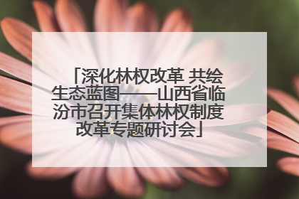深化林权改革 共绘生态蓝图——山西省临汾市召开集体林权制度改革专题研讨会