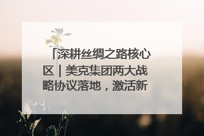 深耕丝绸之路核心区｜美克集团两大战略协议落地，激活新疆开放新动能