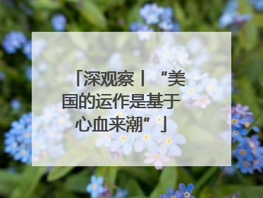 深观察丨“美国的运作是基于心血来潮”