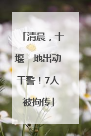 清晨，十堰一地出动干警！7人被拘传