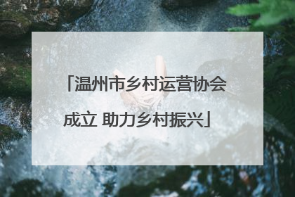 温州市乡村运营协会成立 助力乡村振兴
