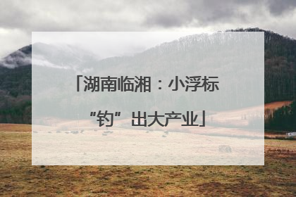 湖南临湘：小浮标“钓”出大产业