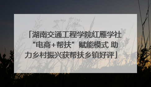 湖南交通工程学院红雁学社“电商+帮扶”赋能模式 助力乡村振兴获帮扶乡镇好评