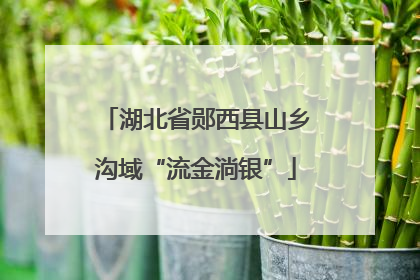 湖北省郧西县山乡沟域“流金淌银”