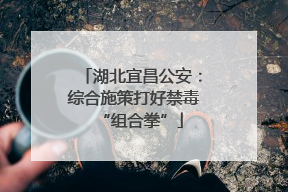 湖北宜昌公安：综合施策打好禁毒“组合拳”