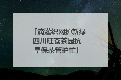 滴灌织网护新绿 四川旺苍茶园抗旱保茶管护忙