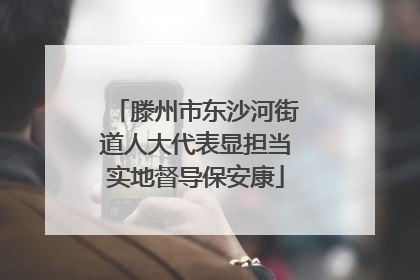 滕州市东沙河街道人大代表显担当实地督导保安康