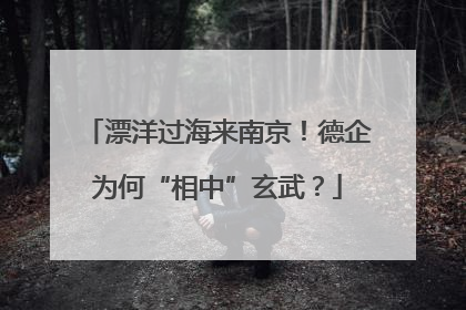 漂洋过海来南京！德企为何“相中”玄武？