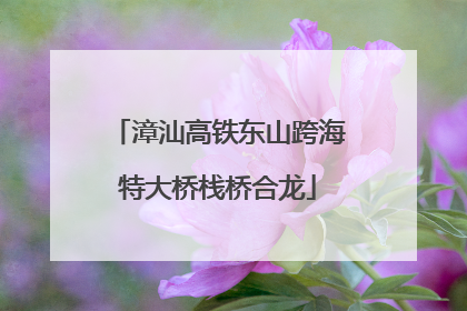 漳汕高铁东山跨海特大桥栈桥合龙