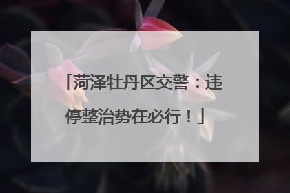 菏泽牡丹区交警：违停整治势在必行！