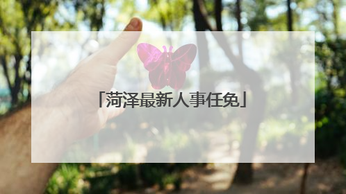 菏泽最新人事任免