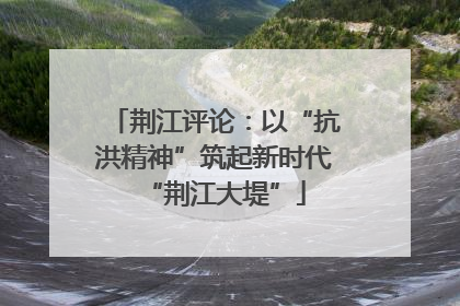荆江评论：以“抗洪精神”筑起新时代“荆江大堤”
