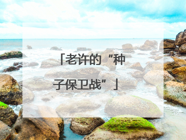 老许的“种子保卫战”