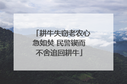 耕牛失窃老农心急如焚 民警锲而不舍追回耕牛