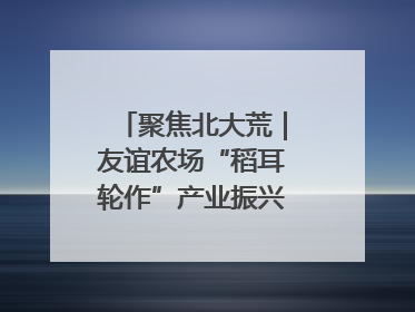 聚焦北大荒｜友谊农场“稻耳轮作”产业振兴“花开两朵”