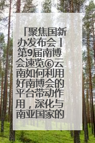 聚焦国新办发布会丨第9届南博会速览⑥云南如何利用好南博会的平台带动作用，深化与南亚国家的交流与合作？