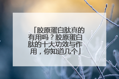 胶原蛋白肽真的有用吗？胶原蛋白肽的十大功效与作用，你知道几个