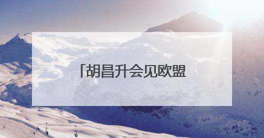 胡昌升会见欧盟国家驻华使节团