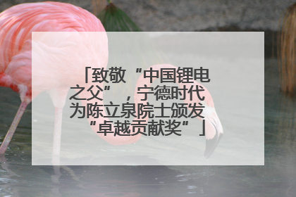 致敬“中国锂电之父”，宁德时代为陈立泉院士颁发“卓越贡献奖”