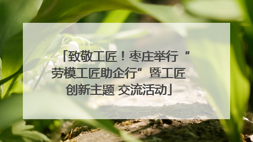 致敬工匠！枣庄举行“劳模工匠助企行”暨工匠创新主题 交流活动