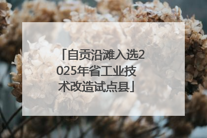 自贡沿滩入选2025年省工业技术改造试点县