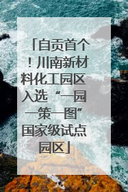 自贡首个！川南新材料化工园区入选“一园一策一图”国家级试点园区
