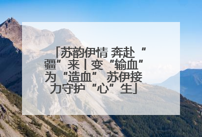 苏韵伊情 奔赴“疆”来丨变“输血”为“造血” 苏伊接力守护“心”生