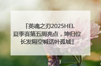 英魂之刃2025HEL夏季赛第五周亮点，坤归位长发隔空喊话叶孤城