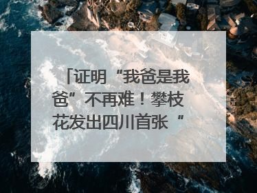 证明“我爸是我爸”不再难！攀枝花发出四川首张“户籍人口直系亲属关系谱”