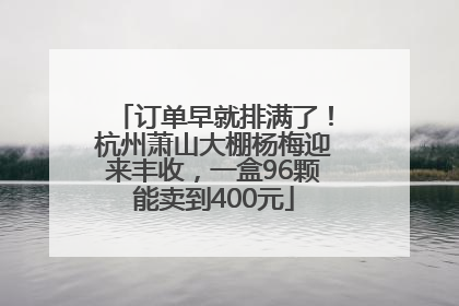 订单早就排满了！杭州萧山大棚杨梅迎来丰收，一盒96颗能卖到400元
