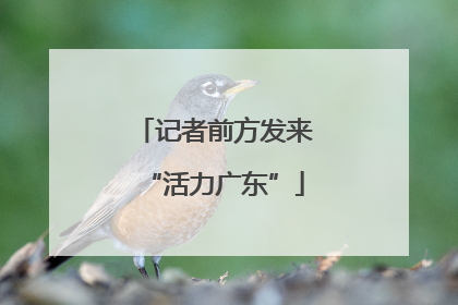 记者前方发来“活力广东”